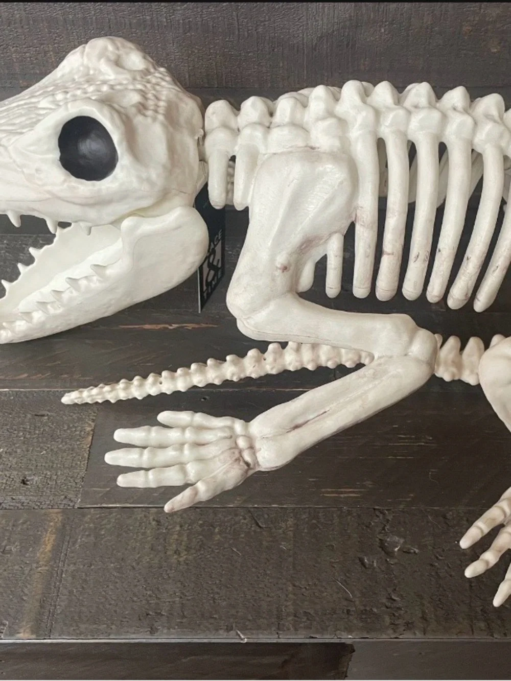 Crazy bonez white reptile